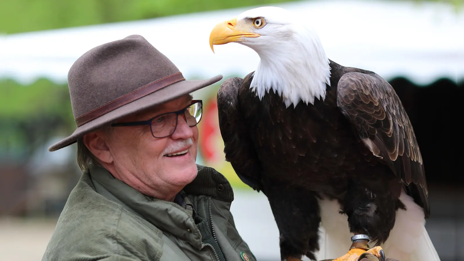 Greifvögel können auf dem Fest beinahe hautnah erlebt werden. (Foto: Fa. Ströbel)