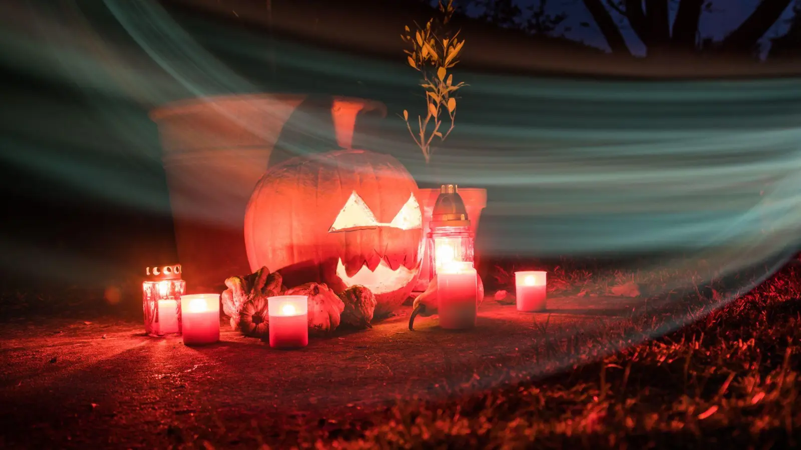 Damit der Kürbis auch noch an Halloween schaurig schön aussieht, gibt es beim Aushöhlen und Schnitzen einiges zu beachten. (Foto: Christin Klose/dpa-tmn)