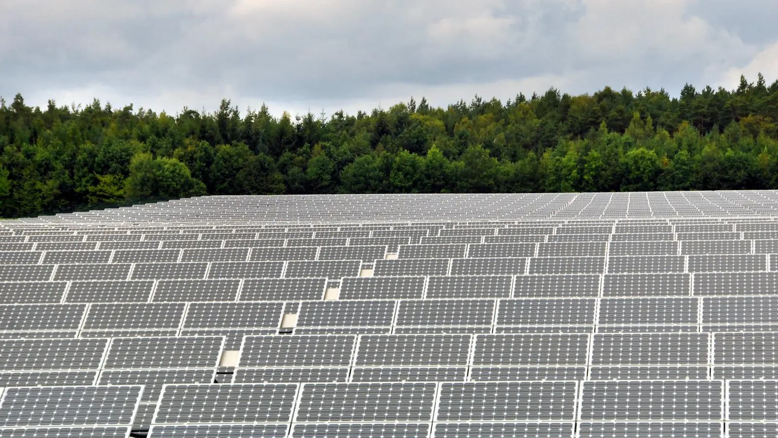 Mit den bereits gebauten und beantragten Freiflächen-Photovoltaikanlagen könnten theoretisch über 14.400 Privathaushalte mit Solarstrom versorgt werden. Dies berichtete Stadtplanerin Andrea Heinlein im Bauausschuss. (Foto: Jim Albright)