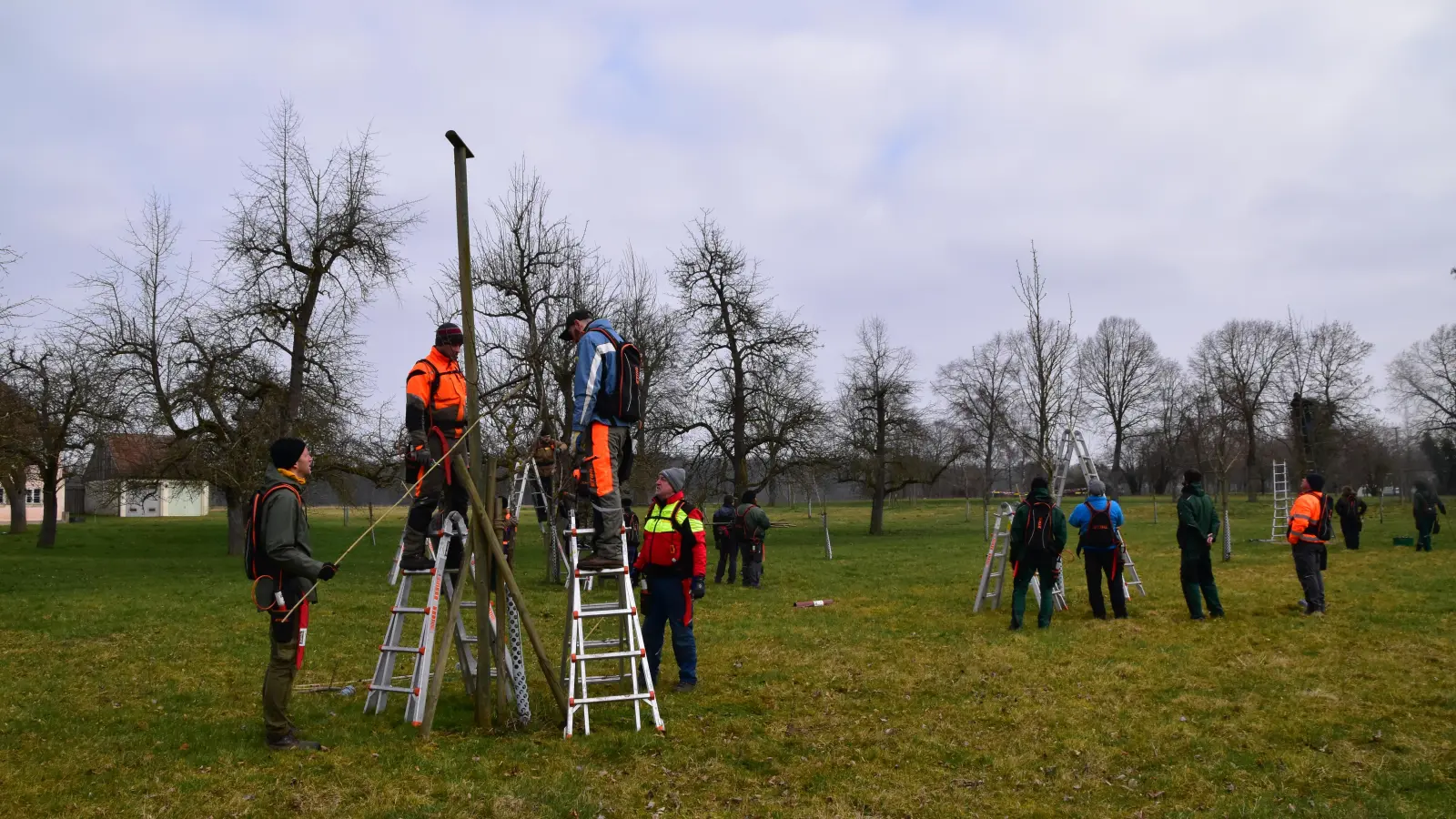Unter fachkundiger Anleitung machten die Teilnehmerinnen und Teilnehmer am Baumwartkurs in Triesdorf die Bäume fit. (Foto: Kurt Güner)