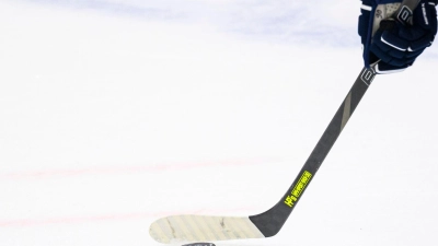 Die Straubing Tigers haben einen neuen Spieler. (Foto: Tom Weller/dpa)