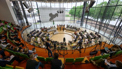 Der Grünen-Antrag zur Unterstützung kleiner Schlachtbetriebe bekam am Mittwochabend nur mit Hilfe von AfD und BSW eine Mehrheit. (Archivbild) (Foto: Robert Michael/dpa)