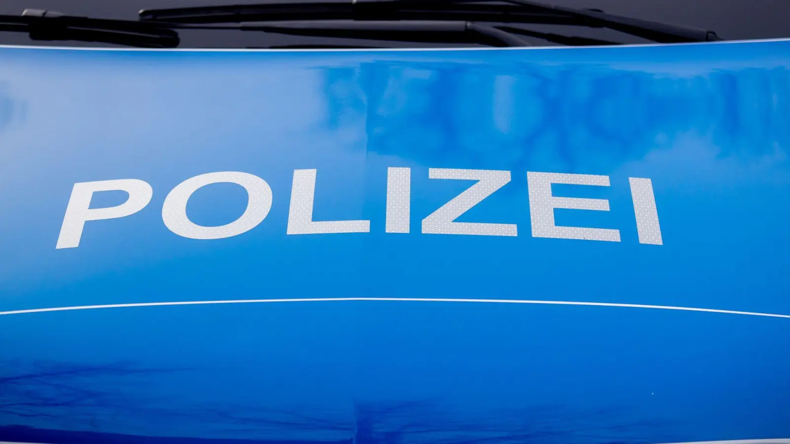 Zwei Männer haben an einem Pizza-Lieferservice in Dinkelsbühl randaliert und den Inhaber angegriffen. Wenig später hat sie die Polizei festgenommen. (Symbolbild: Christoph Soeder/dpa)