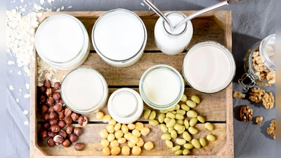 Pflanzendrinks wie Soja- oder Hafermilch haben ein anderes Nährstoffprofil als Kuhmilch und sind für Säuglinge ungeeignet. (Foto: Zacharie Scheurer/dpa-tmn)