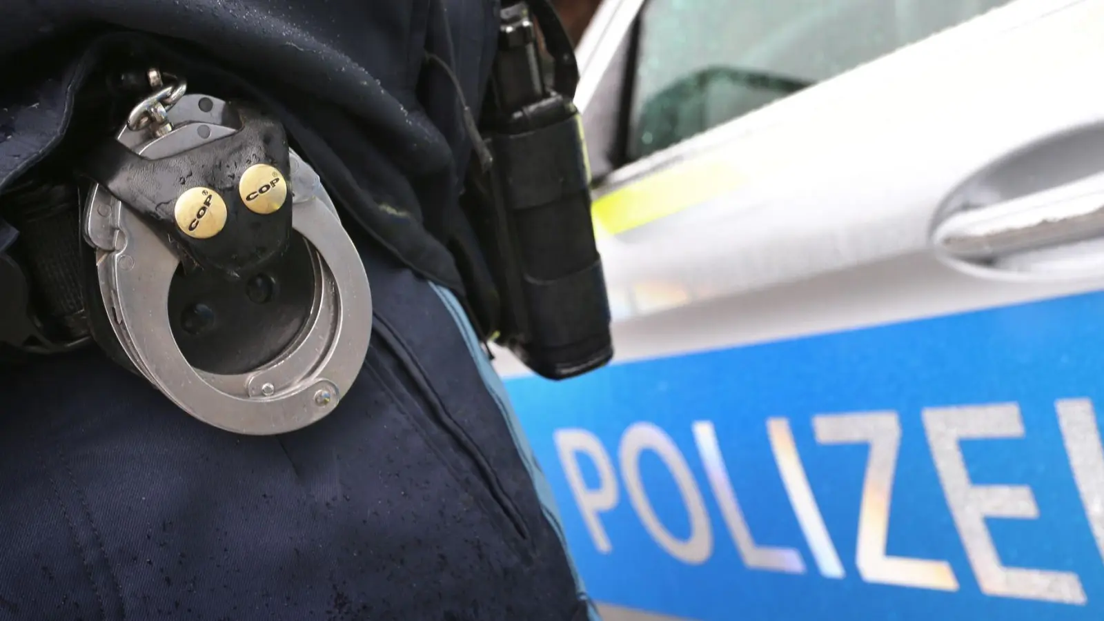 Die Polizei ermittelt gegen fünf Männer, die Schafe auf einer Wiese getötet haben sollen. (Symbolbild) (Foto: Karl-Josef Hildenbrand/dpa)