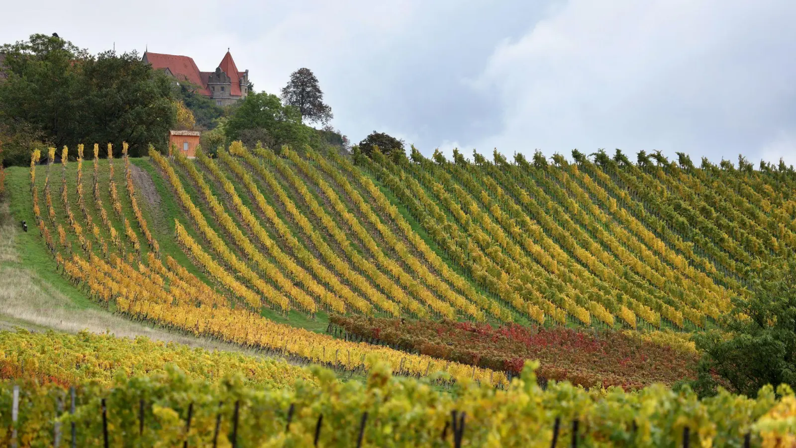 Die Weinberge rund um Würzburg gelten als eine der Attraktionen für Touristen in Franken (Archivbild).  (Foto: Karl-Josef Hildenbrand/dpa)