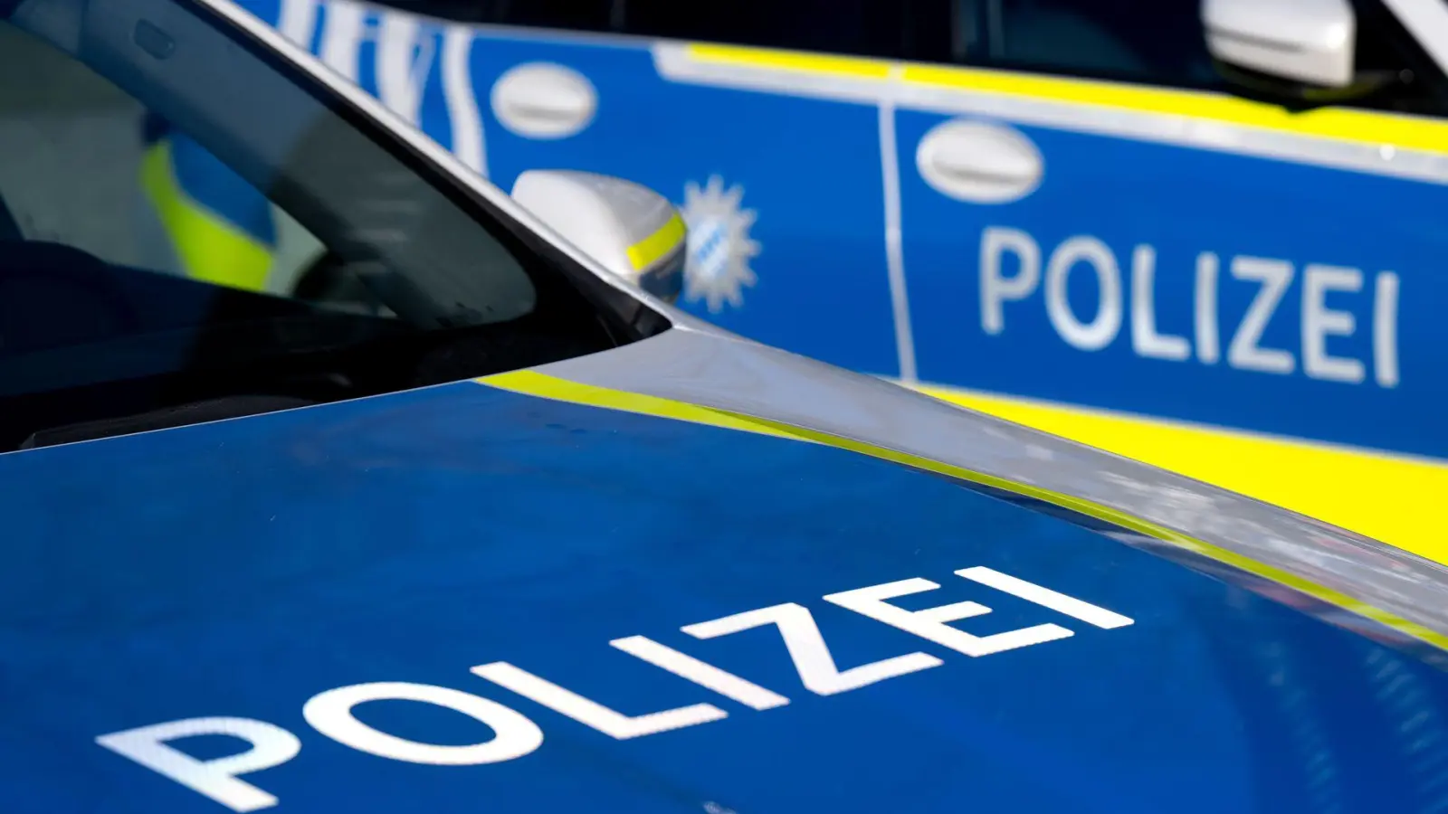 Ein 59-Jähriger bricht durchs Dach. (Symbolbild) (Foto: Sven Hoppe/dpa)