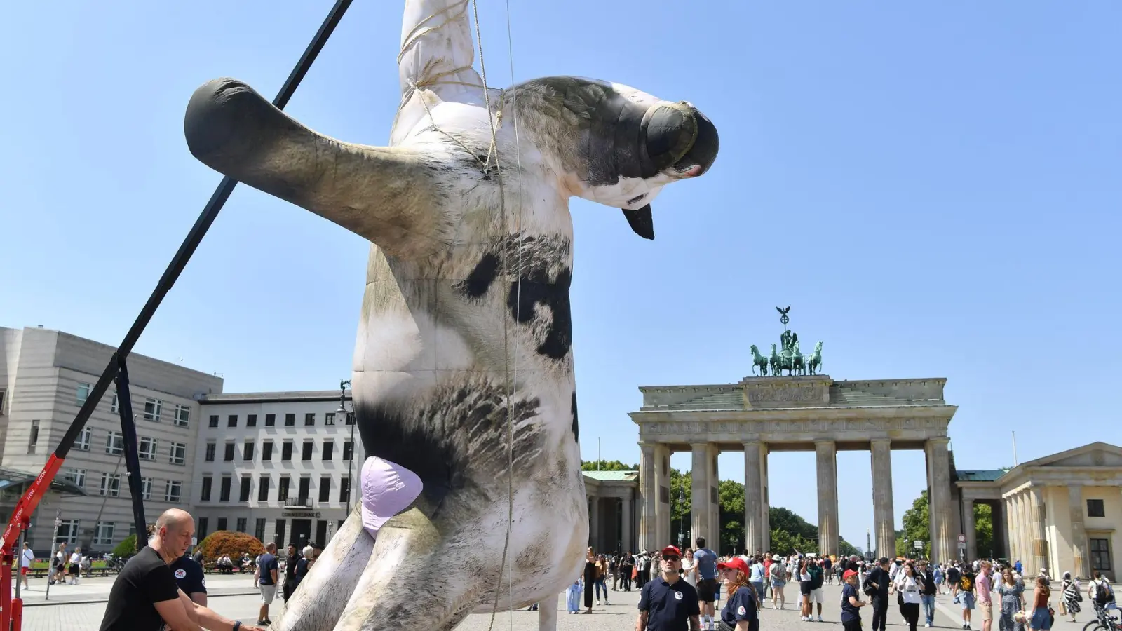 Die Attrappe ist etwa 4 Meter groß. (Foto: Paul Zinken/dpa)