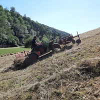 Ein moderner Bergmäher schafft Fläche. Trotzdem bleibt die Landschaftspflege im Taubertal und seinen Seitentälern mühsam und hart. Teilweise haben die Hänge 40 Prozent Steigung. (Foto: Dorothea Schindler/LPV Mittelfranken)
