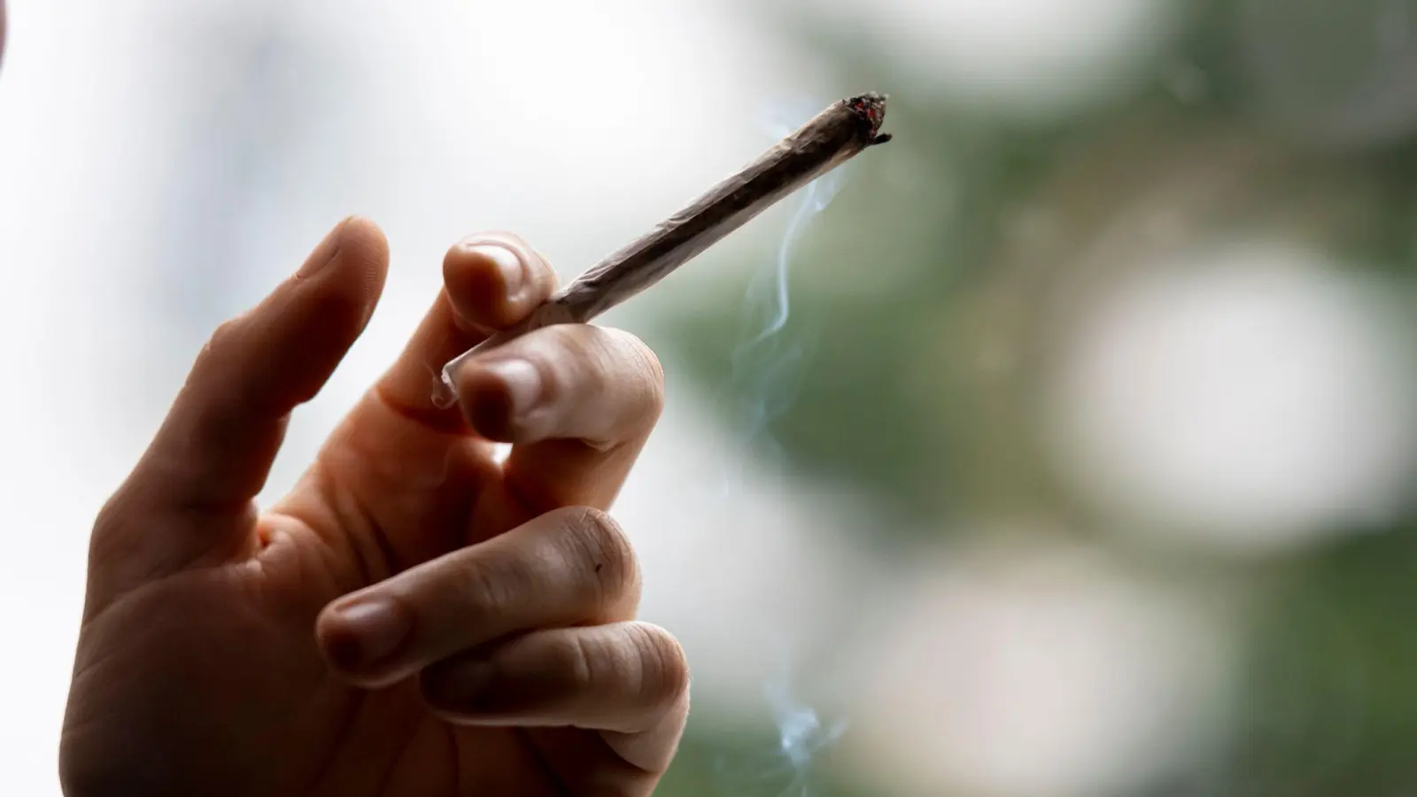 Die Ampel-Parteien wollen Cannabis zu Genusszwecken 2023 legalisieren. (Foto: Fabian Sommer/dpa)