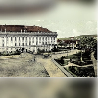 Das Platen-Denkmal steht 1926 in einem umzäunten Gärtchen auf dem Platz vor der Residenz. Bei der Tagung der Platen-Gesellschaft wird ein Kranz zu Ehren des Dichters niedergelegt.  (Repro: Stadtarchiv Ansbach)