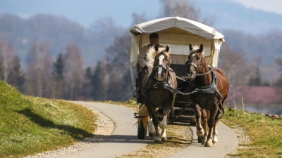Ein Mann ist mit einer von zwei Pferden gezogenen Kutsche unterwegs. (Foto: Thomas Warnack/dpa)