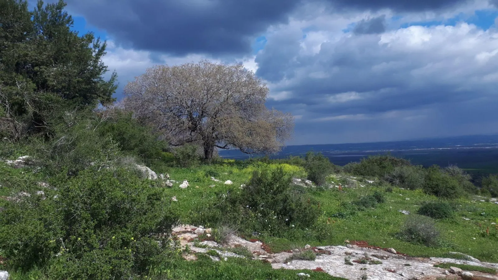 Der Megiddo-Wanderweg in Israel führt durch das Biosphärenreservat Ramot Menashe - es geht vorbei an Wiesen, Wäldern, Bächen sowie historischen Stätten. (Foto: Itzik Ben Dov/Society for the protection of nature in Israel /dpa-tmn)