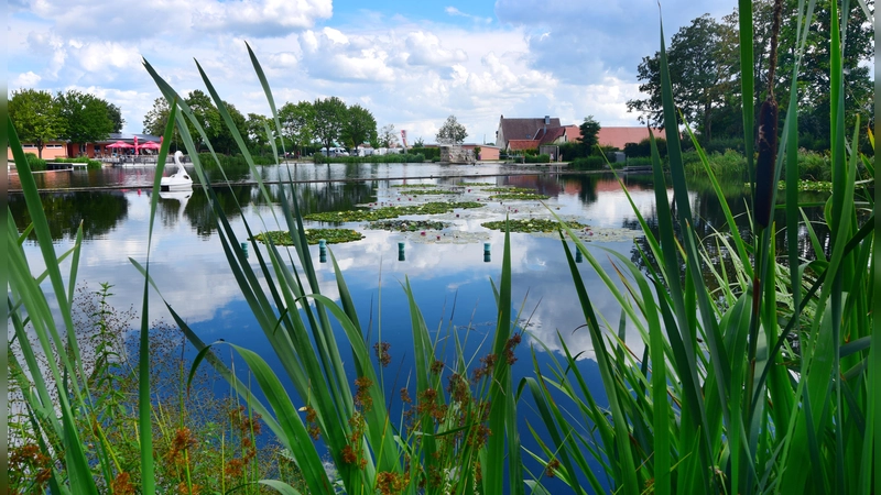 Idylle pur strahlt das Merkendorfer Freizeitzentrum Weißbachmühle aus. Neben dem Schwimmteich samt Kiosk und Gastronomie umfasst das Angebot auch einen Wohnmobil- und einen Campingplatz. Beides soll künftig zusammen mit dem Kiosk verpachtet werden.  (Archivbild: Jim Albright)