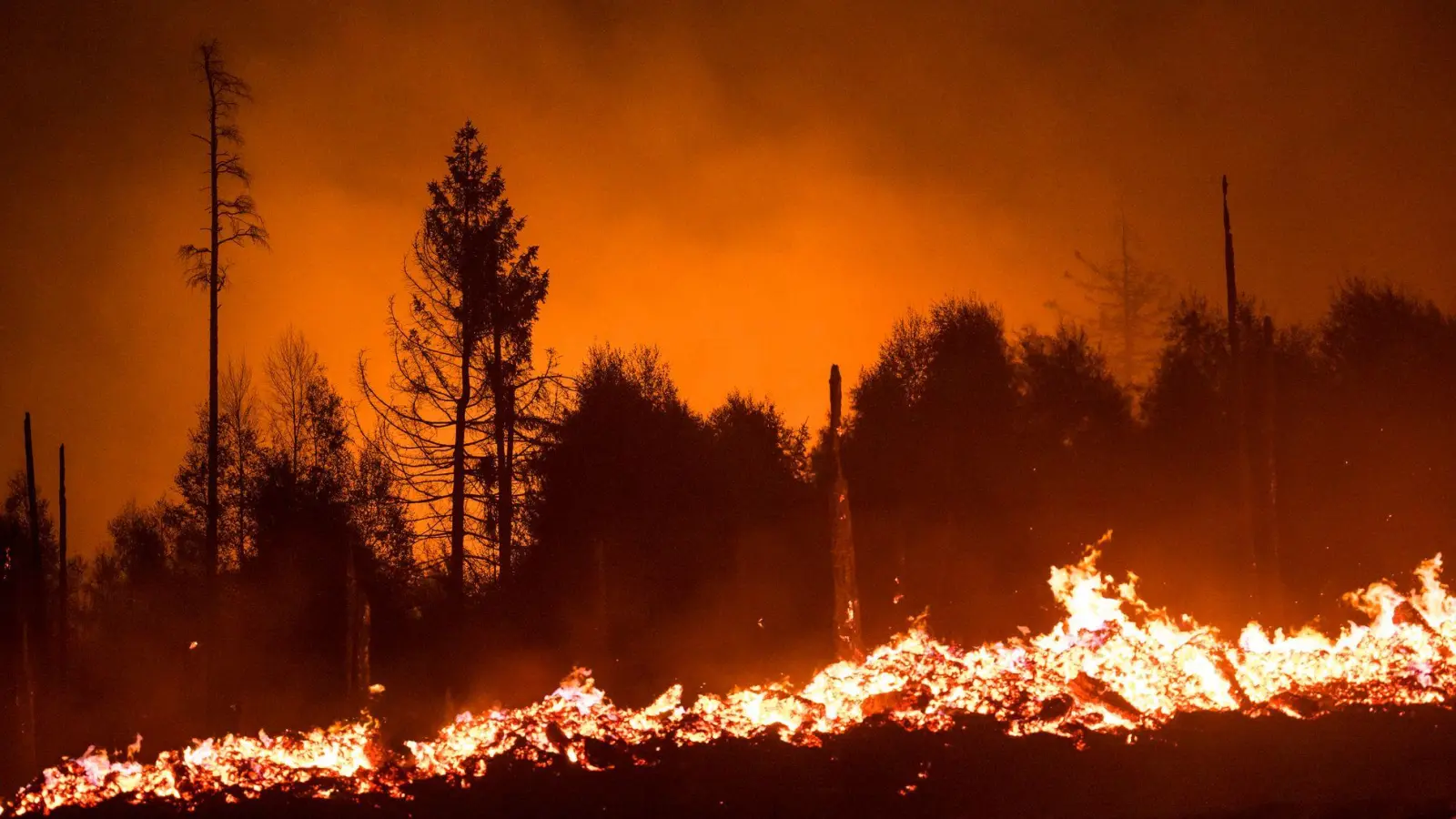 Wenn der Blick aus dem Hotelzimmer einen Waldbrand zeigt, ist an Erholung nicht mehr zu denken. (Foto: Daniel Vogl/dpa/dpa-tmn)