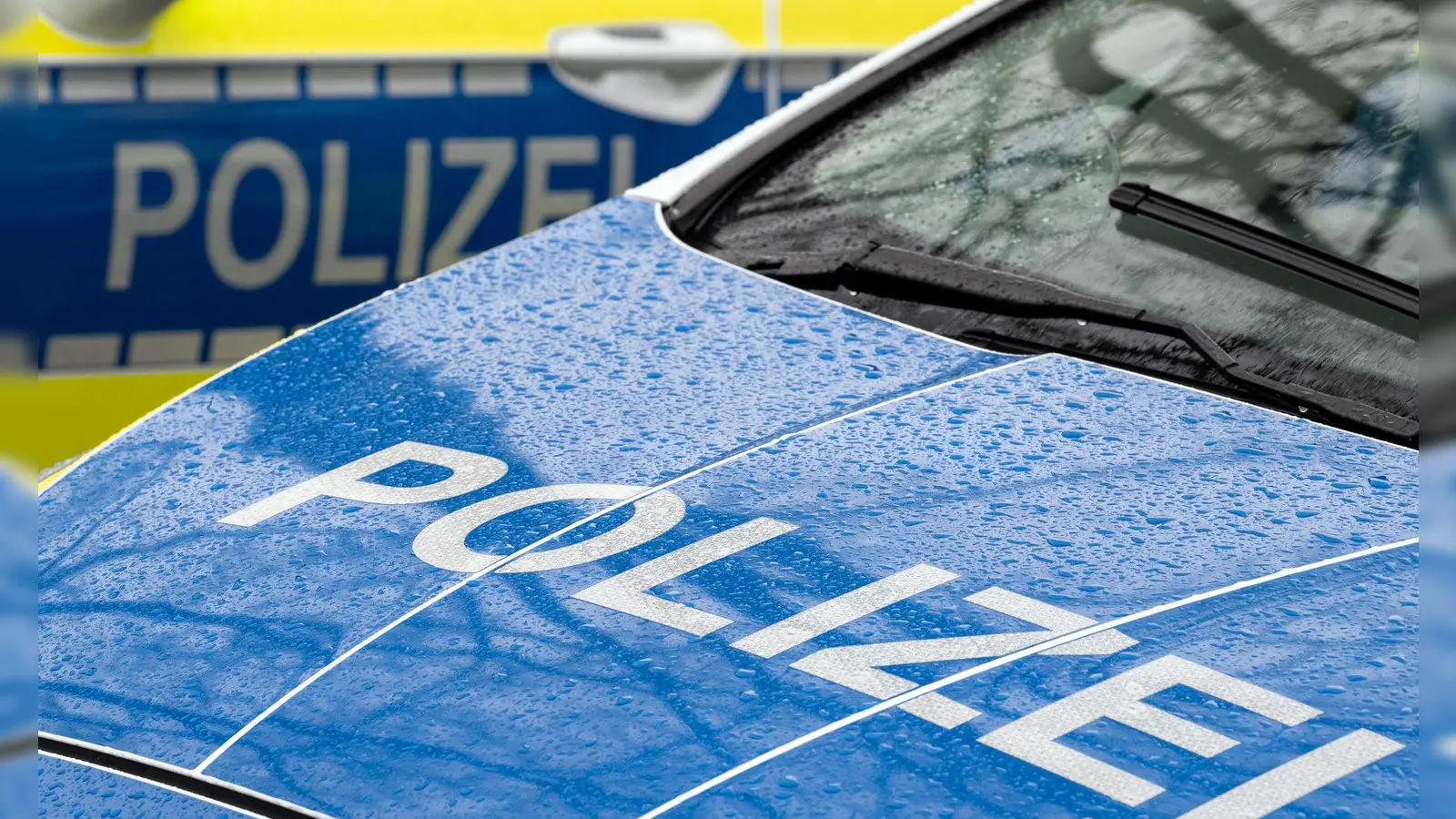 Nach einem Messerangriff in Rimbach hat die Kriminalpolizei Regensburg die Ermittlungen zu den Hintergründen der Tat übernommen. (Symbolbild) (Foto: Soeren Stache/dpa)