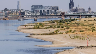 Blick auf Köln mit Sandbänken am Rhein. (Foto: Rolf Vennenbernd/dpa)