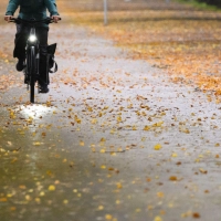 Damit die Radtour nicht zur Rutschpartie wird, sollte man bei Nässe und Laub langsam und defensiv fahren. (Foto: Julian Stratenschulte/dpa)