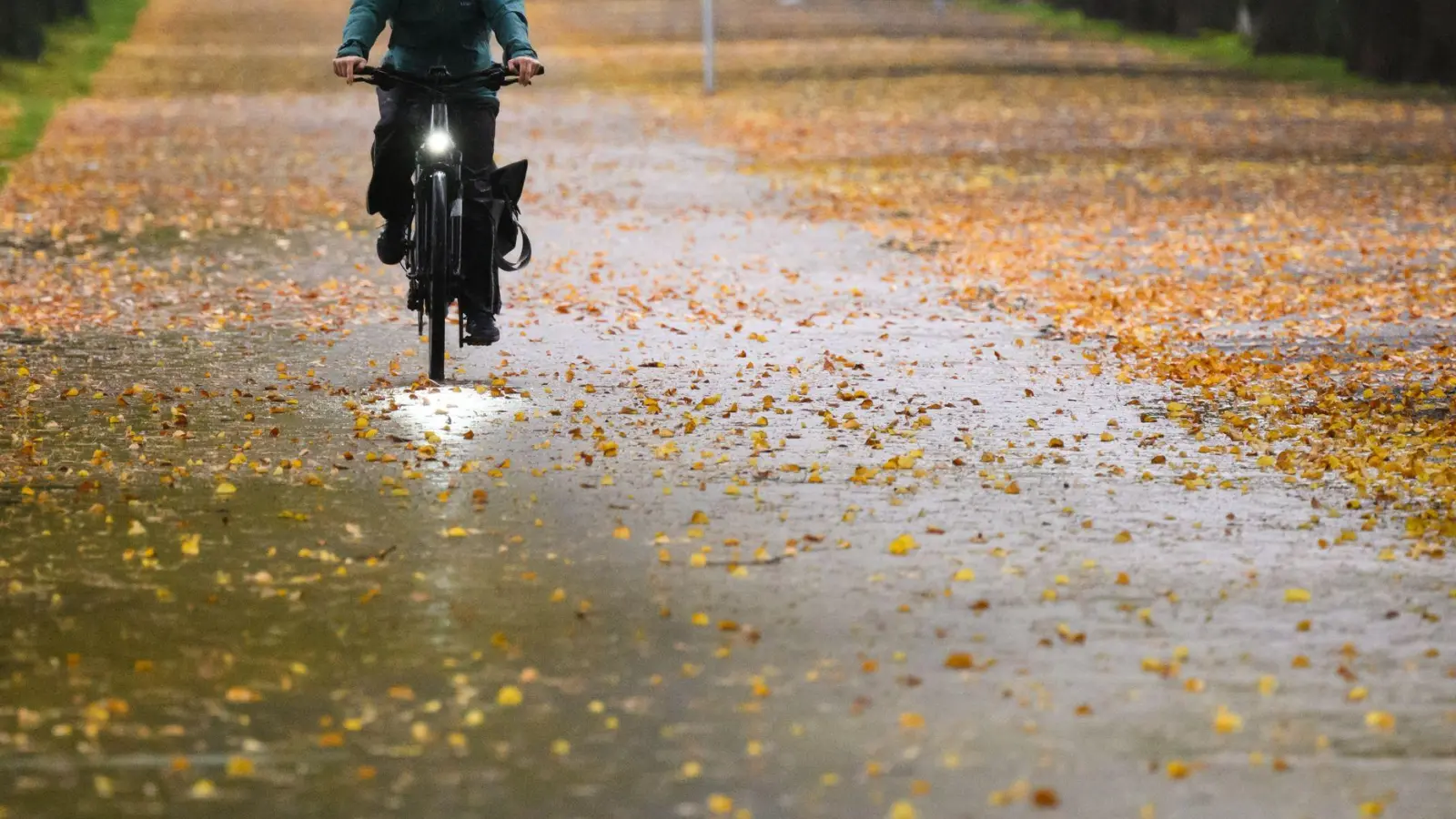 Damit die Radtour nicht zur Rutschpartie wird, sollte man bei Nässe und Laub langsam und defensiv fahren. (Foto: Julian Stratenschulte/dpa)