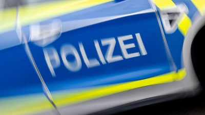 Die Beamten konnten schnell klären, woher die Schreie kamen. (Symbolbild) (Foto: Hendrik Schmidt/dpa)