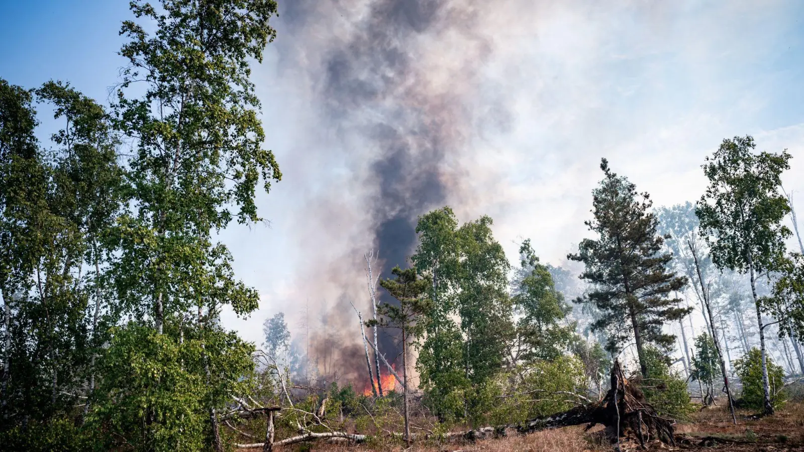 Es brennt: Die Waldbrandgefahr ist in Deutschland derzeit hoch. Ursachen sind die hohen Temperaturen, geringe Luftfeuchtigkeit und die vertrocknete Vegetation. (Foto: Fabian Sommer/dpa/dpa-tmn)