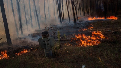 Abgebrannte Wälder, dazu Abgase von Militärfahrzeugen: Auch für das Klima ist der russische Angriffskrieg gegen die Ukraine eine Katastrophe. (Symbolbild) (Foto: Evgeniy Maloletka/AP/dpa)