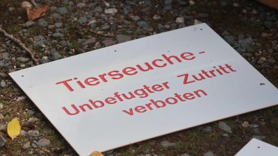 Im Kreis Mühldorf am Inn musste erneut ein Geflügelbetrieb gesperrt werden, weil dort die Newcastle-Krankheit ausgebrochen ist. (Symbolbild)  (Foto: Matthias Bein/dpa)