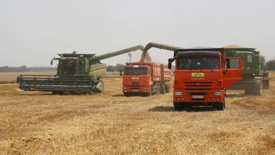 Sanktionen gegen Russland beeinträchtigen offenbar den Getreideexport und Entwicklungsländer. (Foto: Vitaly Timkiv/AP/dpa)