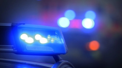 Der Mann im Affenkostüm soll nach dem Angriff geflüchtet sein. (Symbolbild)  (Foto: Karl-Josef Hildenbrand/dpa)