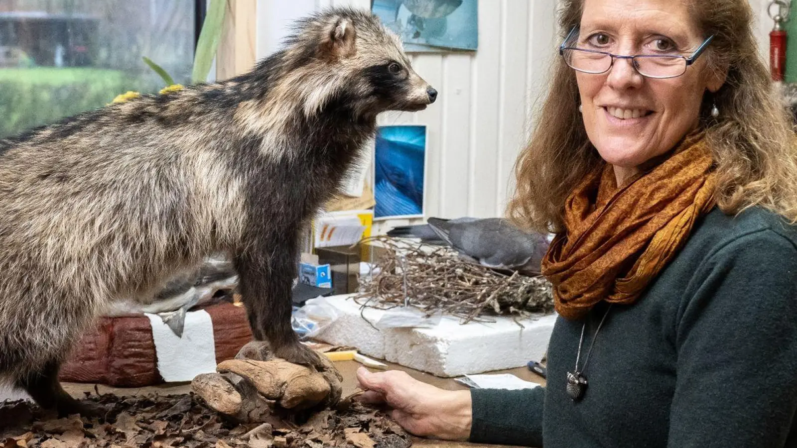 Die Präparatorin Yvonne Fritzsche-Nehls rekonstruiert und konserviert Tierkörper für naturkundliche Ausstellungen. (Foto: Benjamin Nolte/dpa-tmn/dpa)