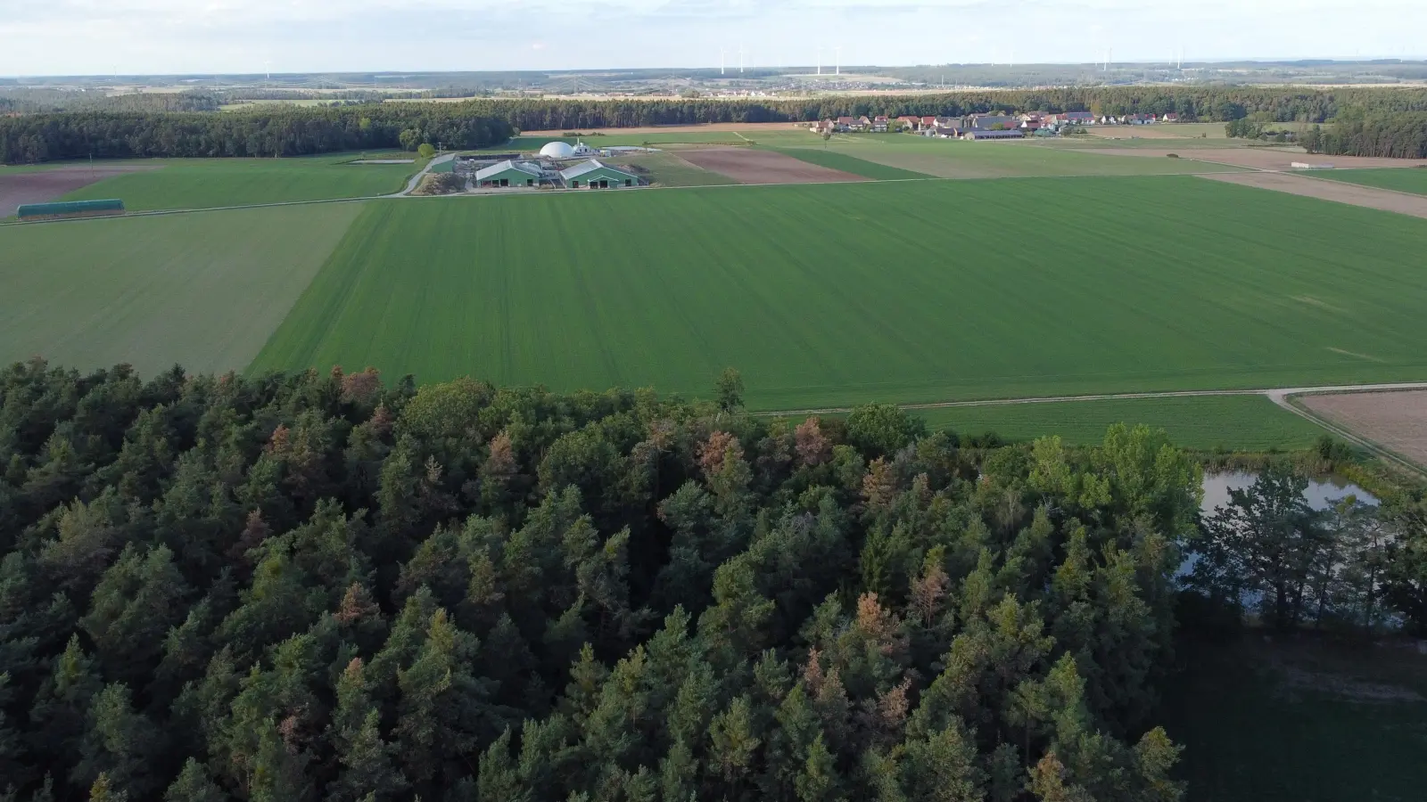 Im Harter Forst südlich von Wilhermsdorf-Kreben (rechts im Bild) ist ein Windpark mit fünf Windkraftanlagen und einer installierten Gesamtleistung von 36 Megawatt geplant. (Foto: Yvonne Neckermann)