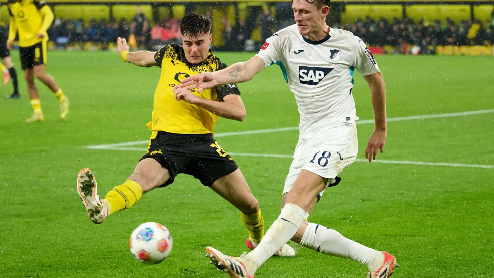 Aaron Anselmino (l) überzeugte bei seinen Auftritten im BVB-Trikot. (Archivbild) (Foto: Bernd Thissen/dpa)