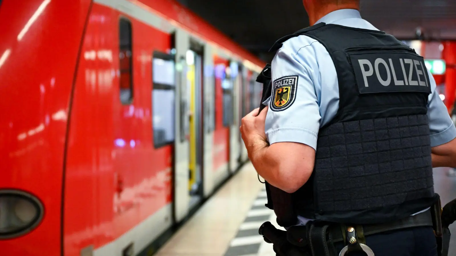 Beide Male wurden die Angreifer an die Bundespolizei übergeben. (Symbolbild) (Foto: Sven Hoppe/dpa)
