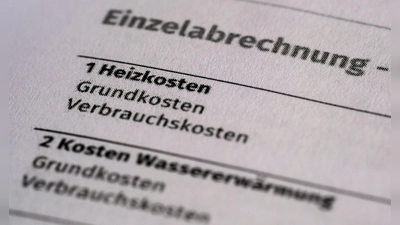 Mietervereine melden weiter viele Anfragen wegen Nachforderungen von Heizkosten. (Symbolbild) (Foto: Jens Kalaene/dpa)