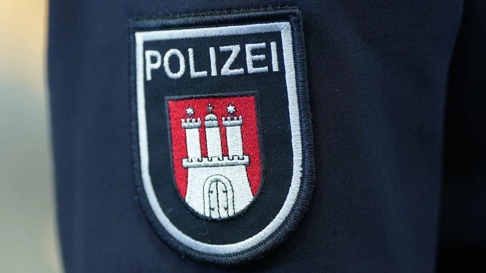 Die Fans werden das Spiel nicht im Stadion verfolgen können (Archivbild). (Foto: Marcus Brandt/dpa)