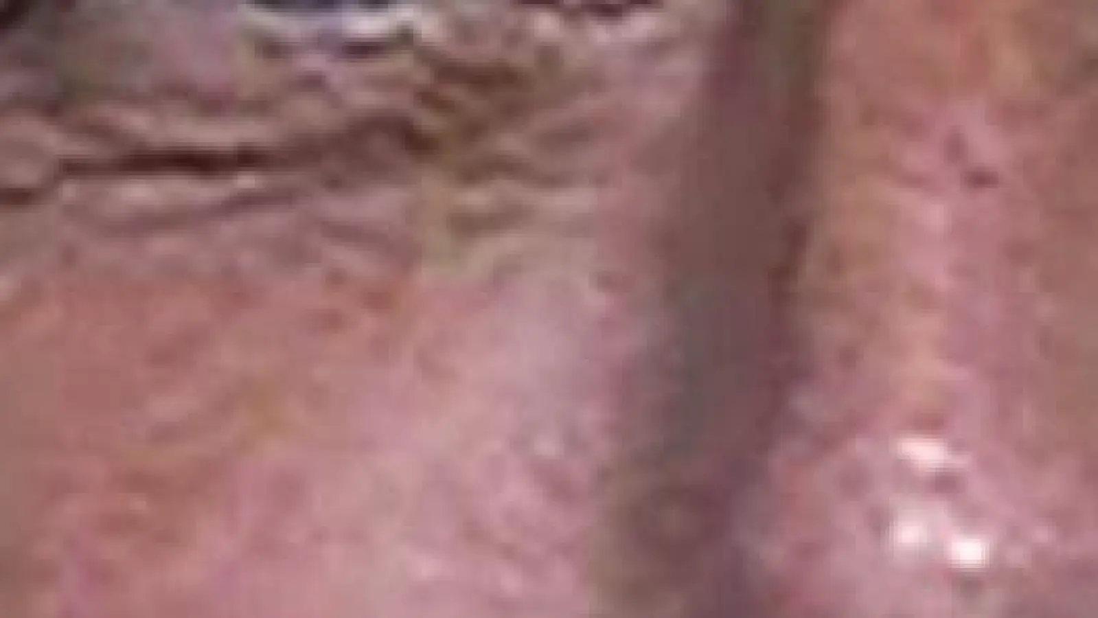 Für Erik Menendez (l.) gibt es erst einmal keine vorzeitige Haftentlassung. (Archivfoto) (Foto: Uncredited/California Dept. of Corrections  via AP/dpa)