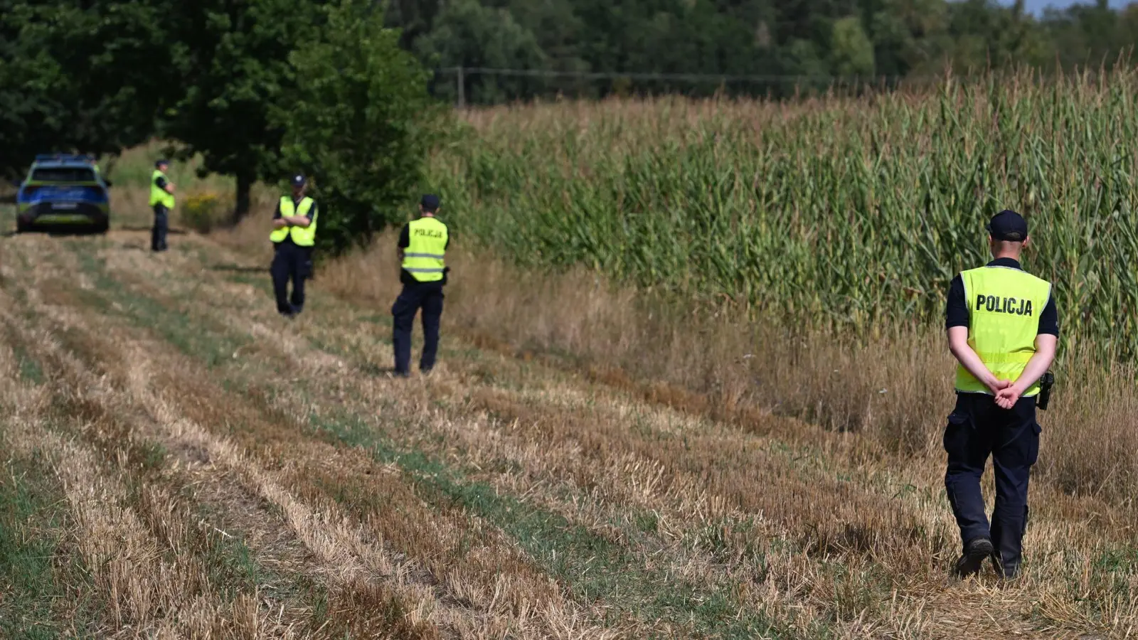 Polnische Polizisten sichern das Gebiet eines Maisfeldes in Osiny in Ostpolen, in das ein unbekanntes Flugobjekt gestürzt ist. (Foto aktuell) (Foto: Wojtek Jargilo/PAP/dpa)