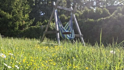 Wer seinen Rasen im Mai nicht mäht, macht Insekten eine Freude.  (Foto: Daniela Ramsauer)