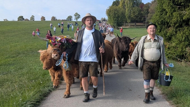 Karlheinz Heß junior (links) führt die geschmückte „Lotte“ als Anführerin der Herde zusammen mit seinem Vater Karlheinz Heß senior (rechts) auf die Winterweide. (Foto: Friedrich Zinnecker)