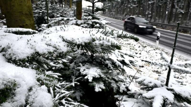 Nicht nur im Sauerland fielen zu Wochenbeginn erste Schneeflocken. (Foto: Federico Gambarini/dpa)
