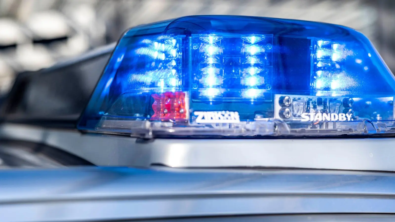 Der entlaufene Hund stieß mit einem Wagen auf der Autobahn zusammen. (Symbolbild) (Foto: David Inderlied/dpa)