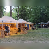 Das Wetter passte, das Angebot an Marktständen und Aktivitäten ebenfalls. Aus Sicht des Veranstalters waren aber deutlich zu wenig Leute auf dem Gelände unterwegs. (Foto: Margit Schwandt)