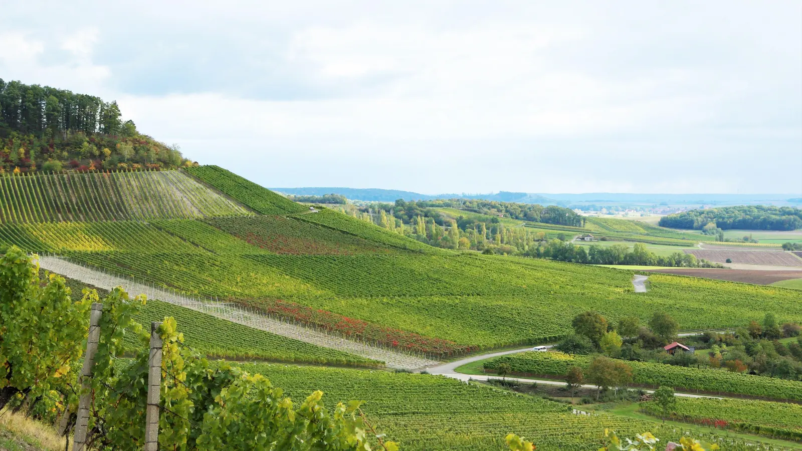 Ein beliebtes Wanderziel im Naturpark Steigerwald sind die Bullenheimer Weinberge.  (Foto: Naturpark Steigerwald/Paul Malec)