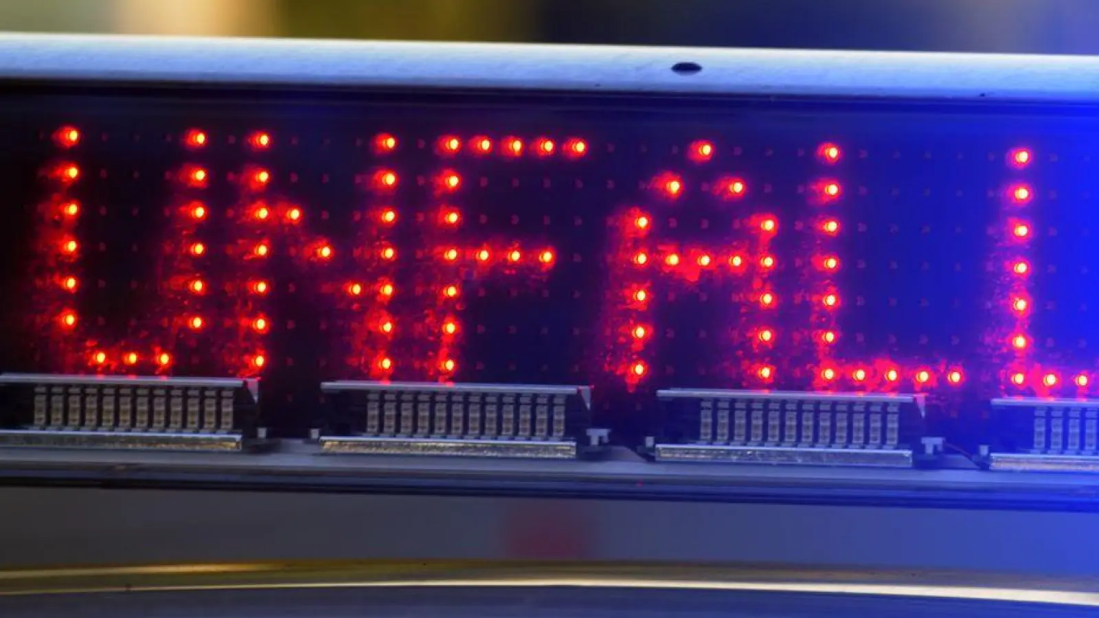 Mit Drohne und Hundeführer versuchen die Beamten die zwei Tiere einzufangen. (Symbolbild) (Foto: Stefan Puchner/dpa)