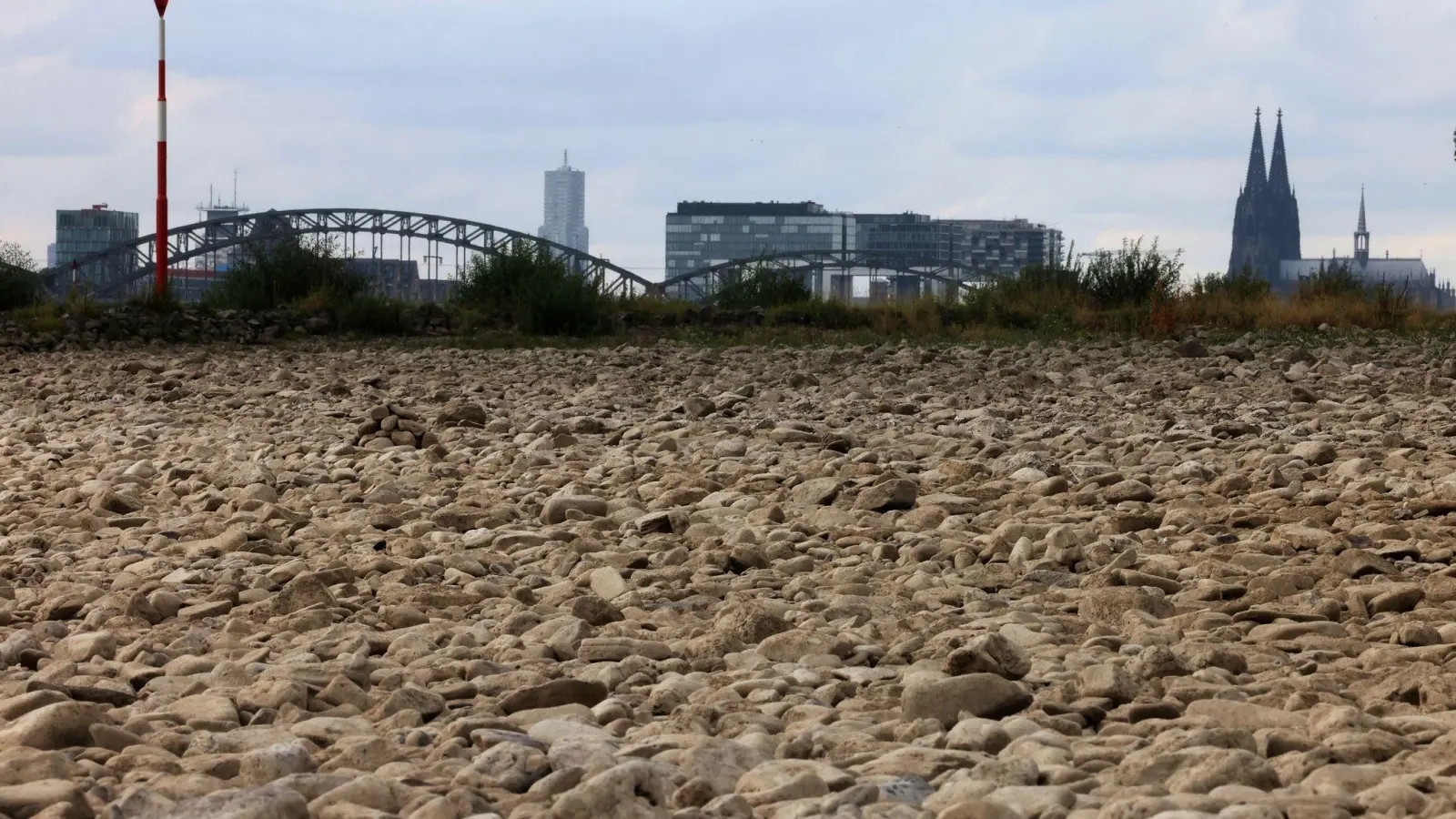 Der ausgetrocknete Uferbereich des Rheins bei Köln im vergangenen Sommer. (Foto: Oliver Berg/dpa)