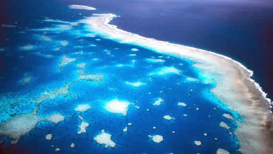 Das Great Barrier Reef ist sogar aus dem Weltraum zu sehen. (Foto: -/Great Barrier Reef Marine Park Authority/dpa)