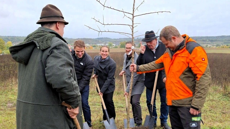 Eine Wildbirne hatte das Amt für Ländliche Entwicklung nach Scheinfeld mitgebracht. Beim Pflanzen zum Spaten griffen dabei (von links) Fürst Johannes zu Schwarzenberg, von diesem verdeckt Bundestagsbgeordneter Tobias Winkler, Bürgermeister Theodor Schell, Anja Emmerich-Marwan, Landtagsabgeordneter Werner Stieglitz und ALE-Leiter Wolfgang Neukirchner, unterstützt von Stadtbauhof-Mitarbeiter Matthias Weiner. (Foto: Amt für Ländliche Entwicklung Mittelfranken)