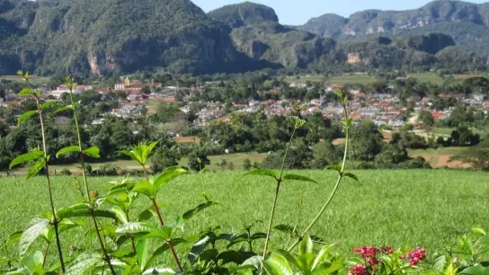 Das Viñales-Tal im Westen Kubas ist Nationalpark und Unesco-Welterbe. (Foto: Bernd Kubisch/dpa-tmn)