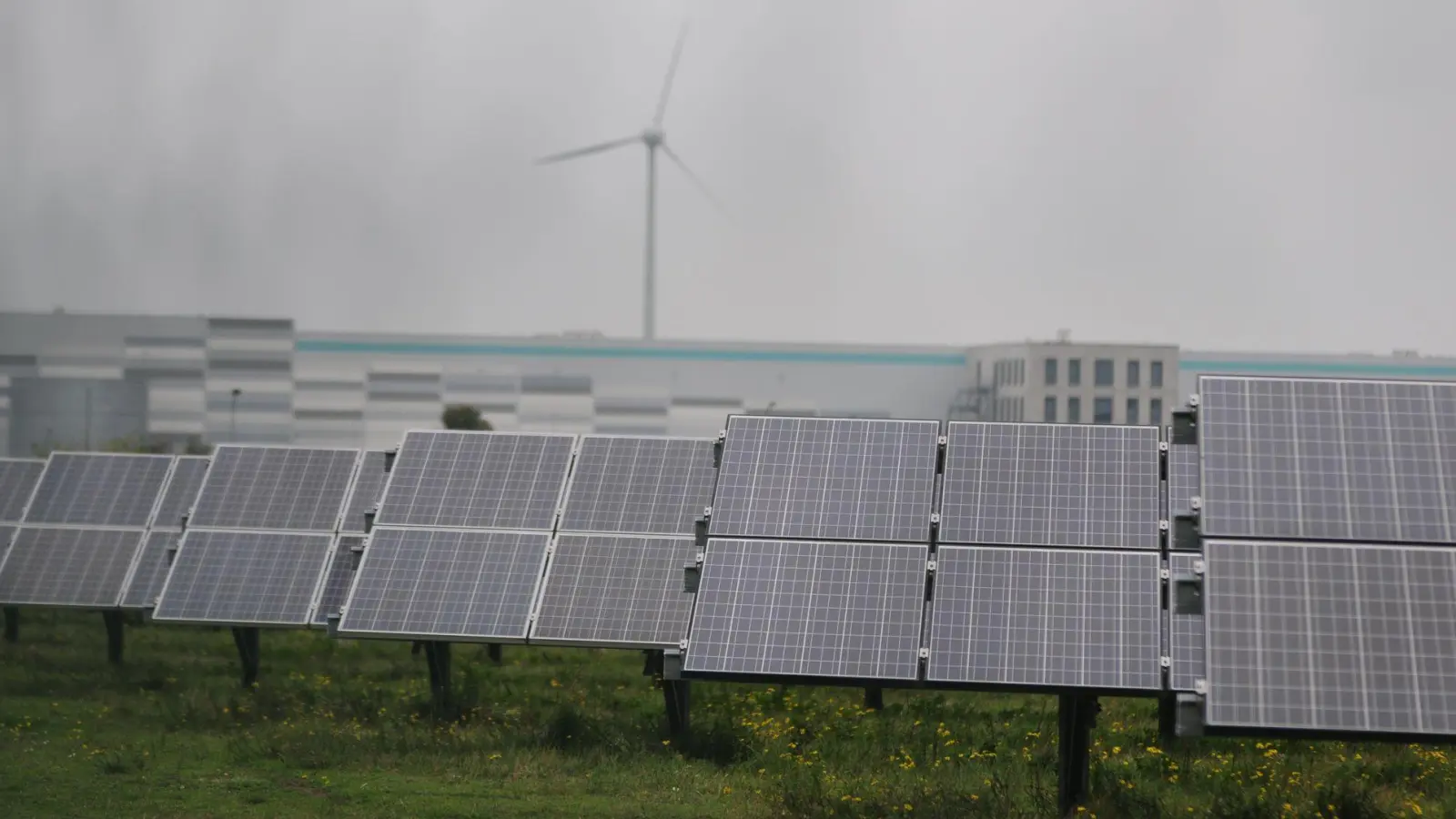 Meyer Burger scheitert an Billigkonkurrenz aus China (Archivbild)  (Foto: Simon Kremer/dpa)