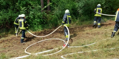 Zu einem Waldbrand mussten die Feuerwehren aus Buch, Trautskirchen und Obernzenn am Pfingstsonntag ausrücken. (Foto: Feuerwehr Trautskirchen)